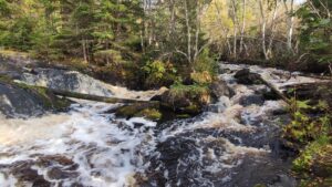 экскурсия на водопад белые мосты